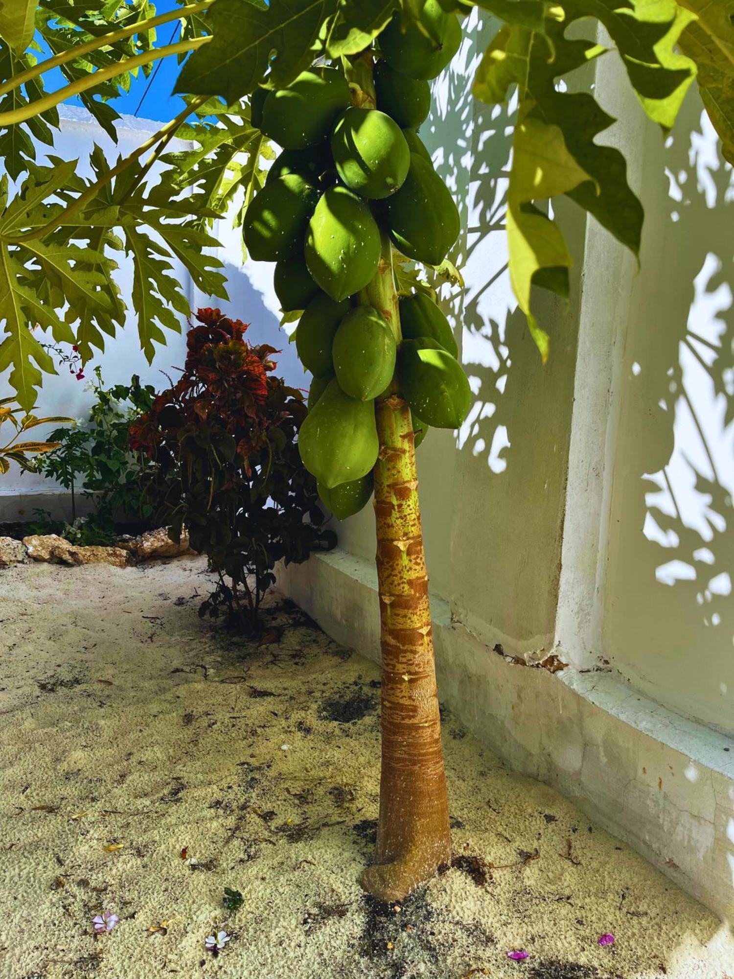 Sabali Lodge, Zanzibar Jambiani (Zanzibar) Exterior foto
